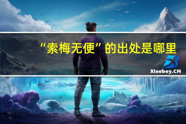 “索梅无便”的出处是哪里