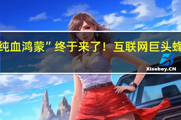 “纯血鸿蒙”终于来了！互联网巨头蜂拥适配