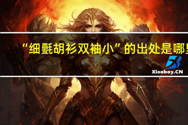 “细氎胡衫双袖小”的出处是哪里
