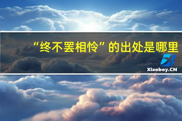 “终不罢相怜”的出处是哪里