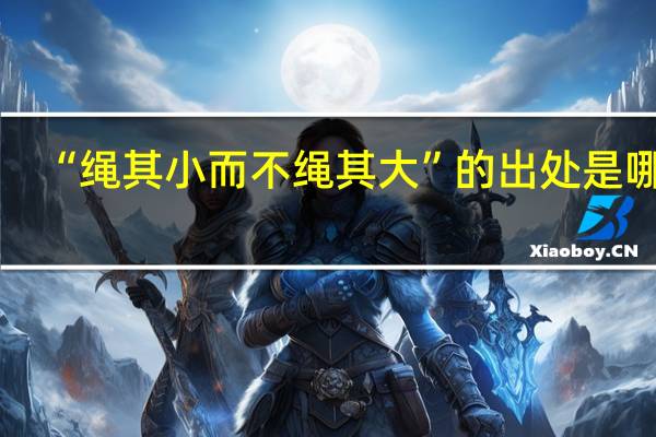 “绳其小而不绳其大”的出处是哪里