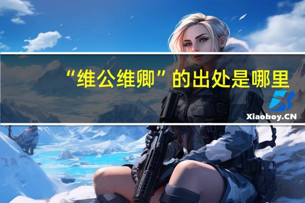“维公维卿”的出处是哪里