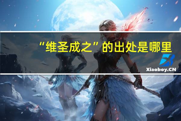 “维圣成之”的出处是哪里