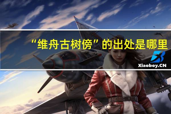 “维舟古树傍”的出处是哪里
