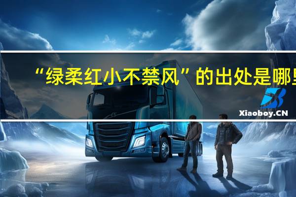 “绿柔红小不禁风”的出处是哪里