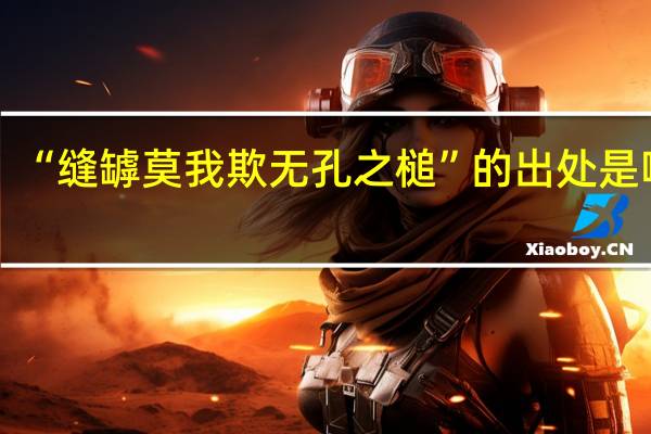 “缝罅莫我欺无孔之槌”的出处是哪里