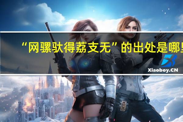 “网骡驮得荔支无”的出处是哪里