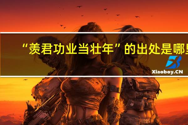 “羡君功业当壮年”的出处是哪里
