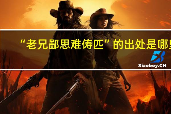“老兄鄙思难俦匹”的出处是哪里