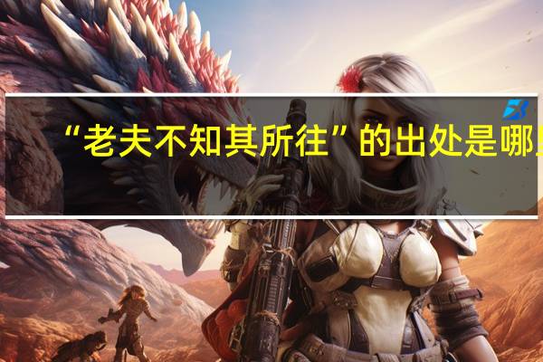 “老夫不知其所往”的出处是哪里