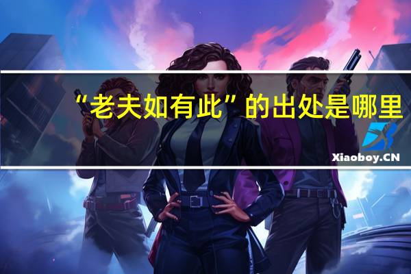 “老夫如有此”的出处是哪里