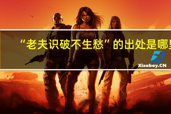 “老夫识破不生愁”的出处是哪里