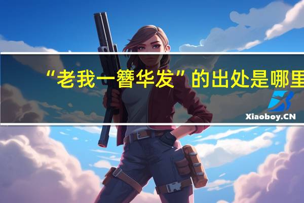 “老我一簪华发”的出处是哪里