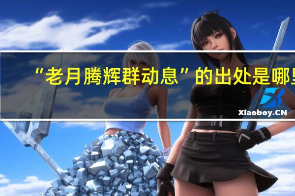 “老月腾辉群动息”的出处是哪里