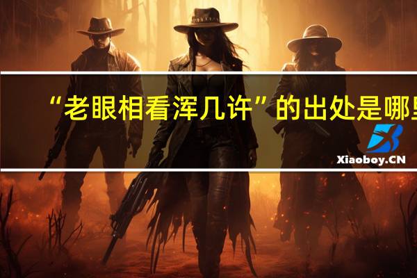 “老眼相看浑几许”的出处是哪里