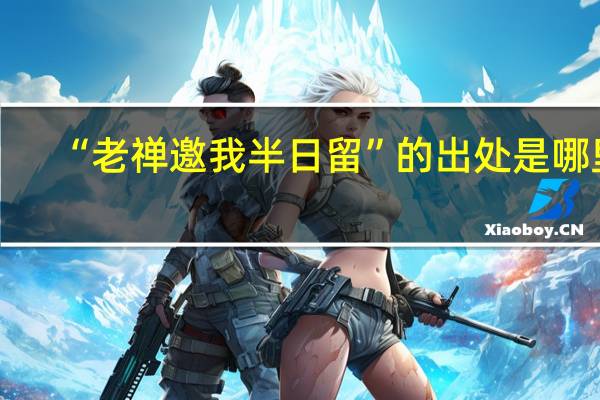“老禅邀我半日留”的出处是哪里