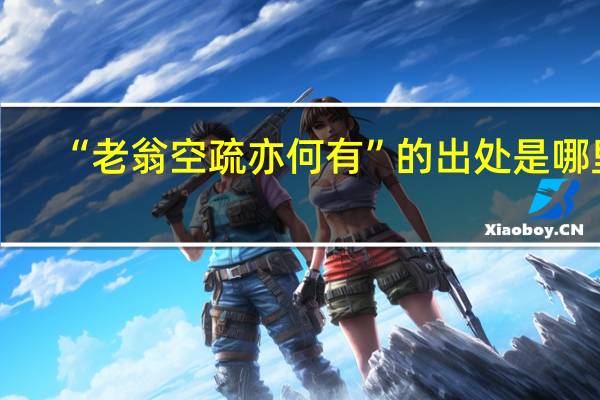 “老翁空疏亦何有”的出处是哪里