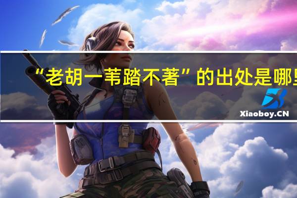 “老胡一苇踏不著”的出处是哪里