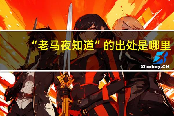 “老马夜知道”的出处是哪里