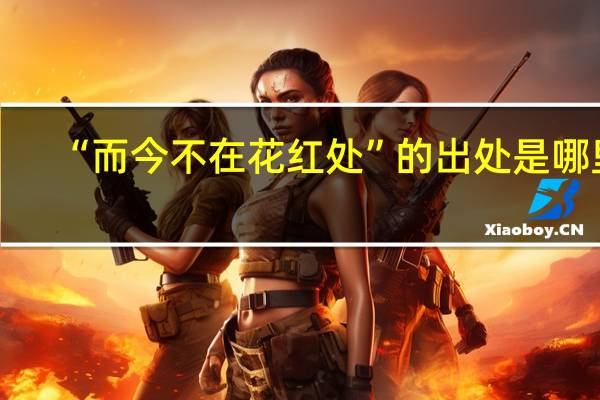 “而今不在花红处”的出处是哪里