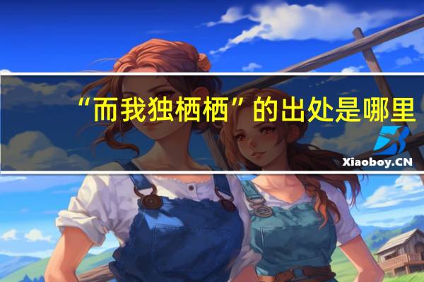 “而我独栖栖”的出处是哪里