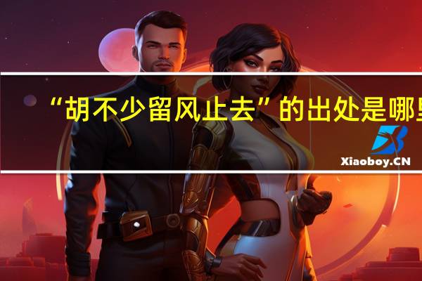 “胡不少留风止去”的出处是哪里