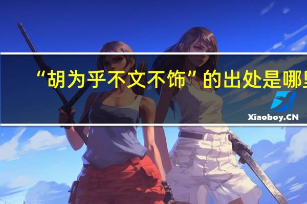 “胡为乎不文不饰”的出处是哪里