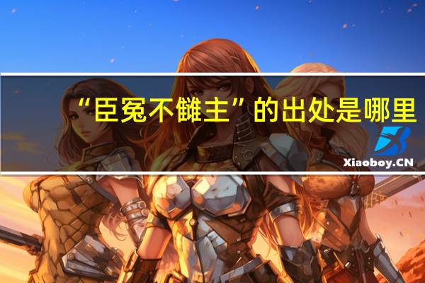 “臣冤不雠主”的出处是哪里