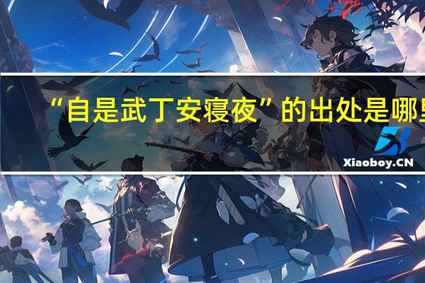 “自是武丁安寝夜”的出处是哪里