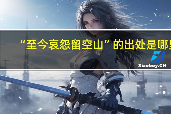 “至今哀怨留空山”的出处是哪里