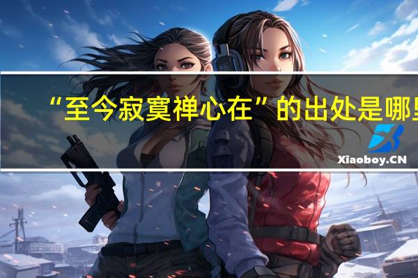 “至今寂寞禅心在”的出处是哪里