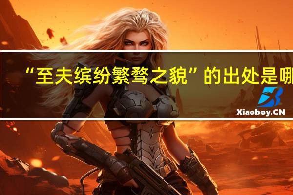 “至夫缤纷繁骛之貌”的出处是哪里