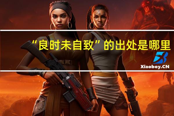 “良时未自致”的出处是哪里