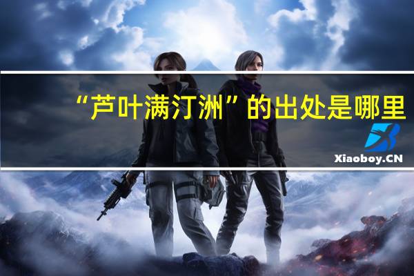 “芦叶满汀洲”的出处是哪里
