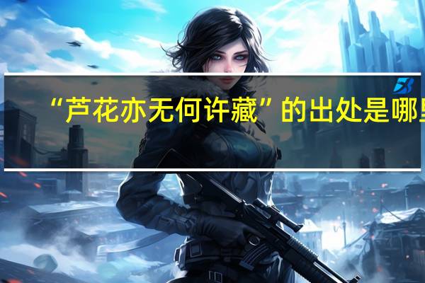 “芦花亦无何许藏”的出处是哪里