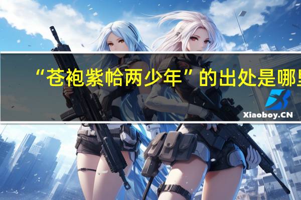 “苍袍紫帢两少年”的出处是哪里