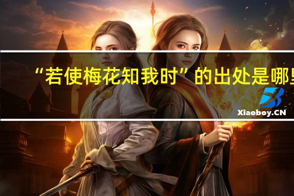 “若使梅花知我时”的出处是哪里
