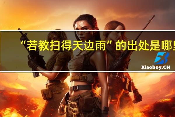 “若教扫得天边雨”的出处是哪里