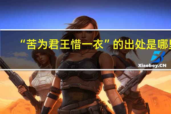 “苦为君王惜一衣”的出处是哪里