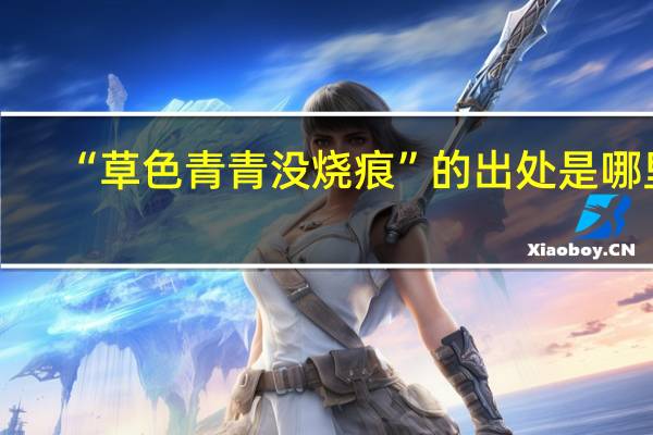 “草色青青没烧痕”的出处是哪里