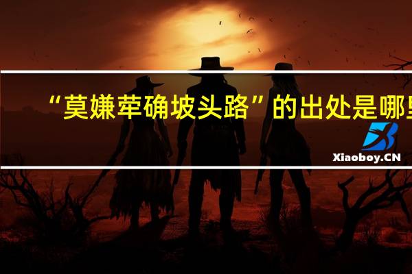 “莫嫌荦确坡头路”的出处是哪里