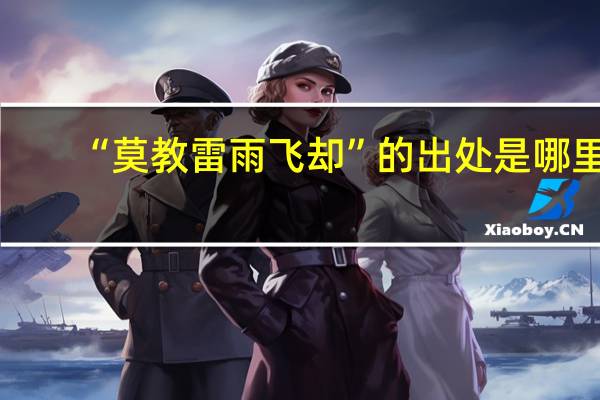 “莫教雷雨飞却”的出处是哪里