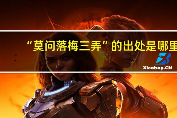 “莫问落梅三弄”的出处是哪里