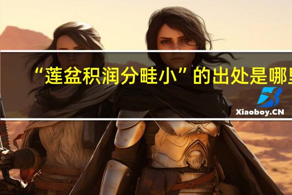 “莲盆积润分畦小”的出处是哪里