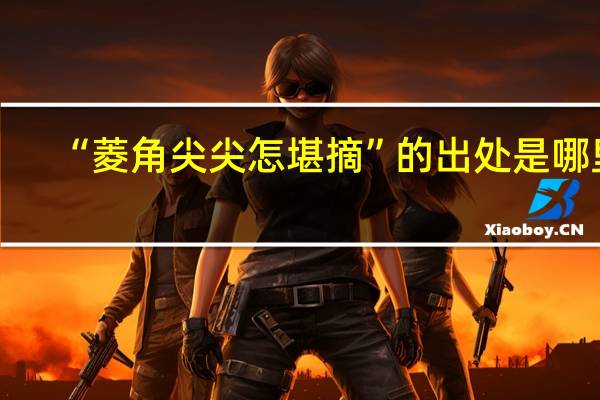 “菱角尖尖怎堪摘”的出处是哪里