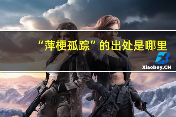 “萍梗孤踪”的出处是哪里