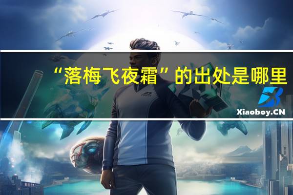 “落梅飞夜霜”的出处是哪里