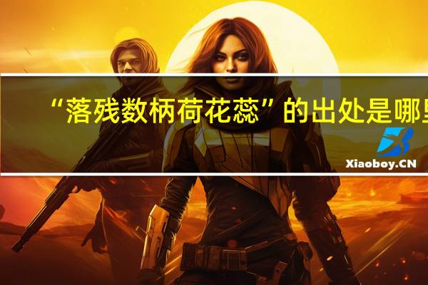 “落残数柄荷花蕊”的出处是哪里