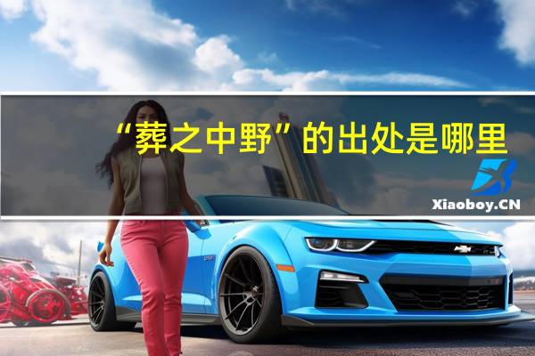 “葬之中野”的出处是哪里
