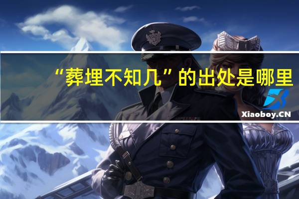 “葬埋不知几”的出处是哪里